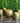Metal Stool Set/5 - Craftkriti