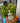 Metal Budha Tree Green - Craftkriti