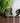 Human Faces Set Of 3 Table Decor Showpiece