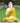 Yellow Mor Pankh Buddha Polyresin Statue