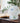 Multicolour Burgeon Glass Traditional Table Lamp - Craftkriti