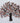 Orange Metal Leaf Tree Wall Art - Craftkriti